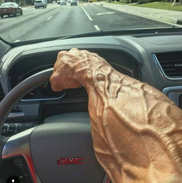 Создать мем: венозность на руках, накаченная рука на руле, автомобиль