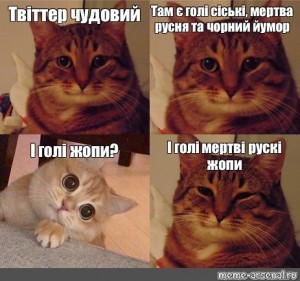 Создать мем: кот мем, красивое мем про котов, понимающий кот