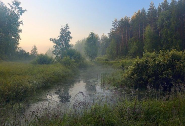 Create meme: dmitry alekseev photographer, morning landscape, river landscape