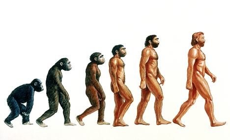 Создать мем: этап эволюции человека, теория эволюции человека, стадии эволюции человека