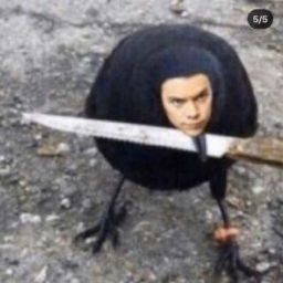 Create meme: pigeon with a knife, crow with a knife, dead bird