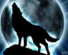 Создать мем: волчьи, волк одиночка, wolf s rain