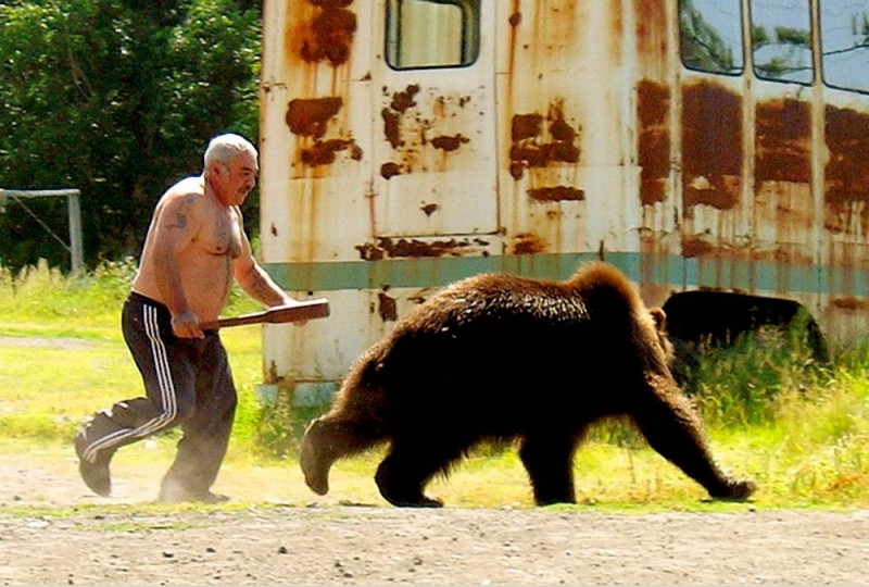 Create meme: bear with a stick, a man runs away from a bear, The bear is sneaking up