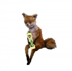 Create meme: a stuffed Fox, Fox, stoned Fox