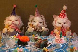 Создать мем: котики смешные, животные смешные, весёлые зверушки отмечают день рождения
