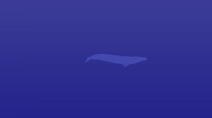 Create meme: kit , blue background, the blue whale 