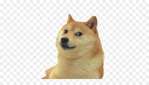Create meme: set of stickers, meme doge, dog meme