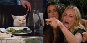 Создать мем: женщина кричит на кота мем, woman yelling at a cat мем, кот за столом мем оригинал