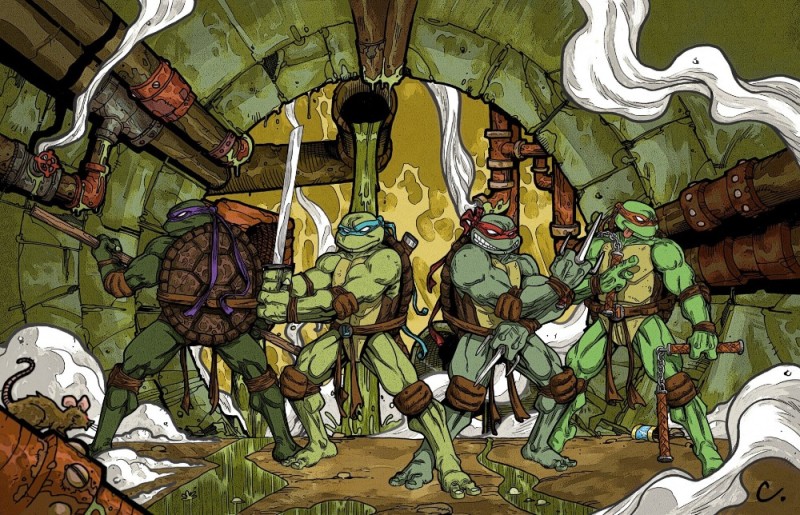 Create meme: Michelangelo the Teenage Mutant Ninja Turtles, teenage mutant ninja turtles characters, teenage mutant ninja turtles comics