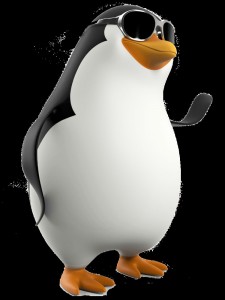 Create meme: penguin skipper, skipper from Madagascar, the Madagascar penguins