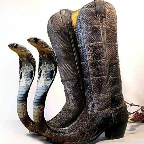 Create meme: cobra boots, unusual boots, designer shoes