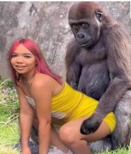 Create meme: gorilla, gorillas mate, penis gorilla