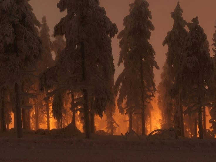 Создать мем: ночной пожар в лесу, лесные пожары в калифорнии, природные пожары