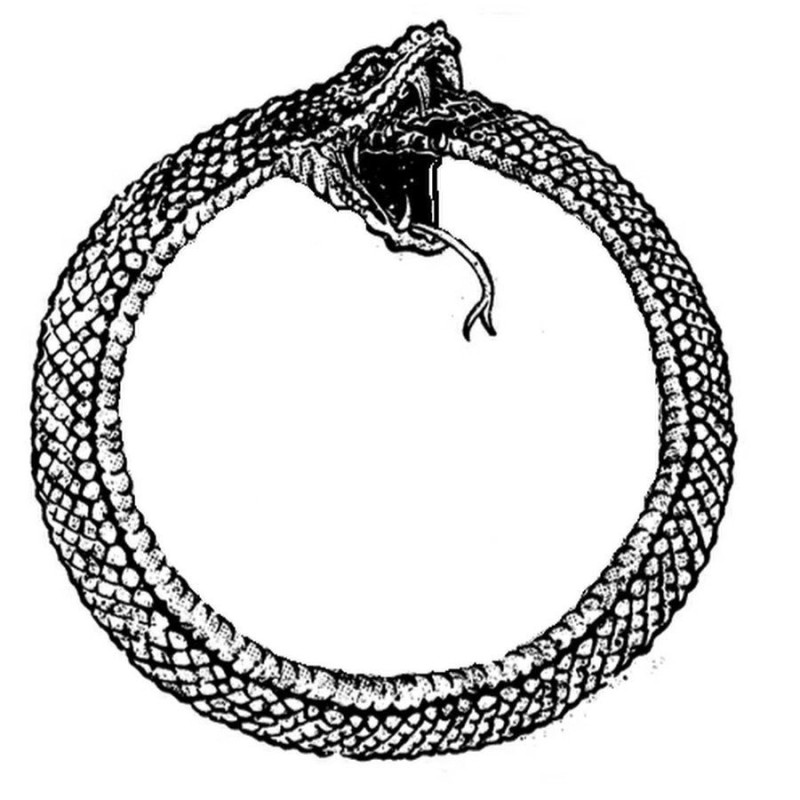 Create meme: Ouroboros, dragon ouroboros, The great serpent Ouroboros