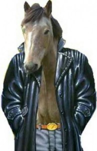 Создать мем: horse, кто кто конь в пальто, Конь в пальто