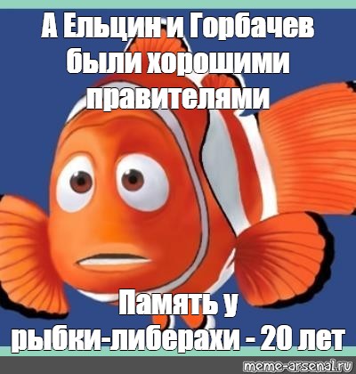 рыбки-либерахи - 20 лет", , Memo?!,finding nemo,рыбки,fish,рыбка немо,немо...