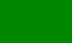 Создать мем: зеленый цвет, зелёный хромакей, зеленый фон