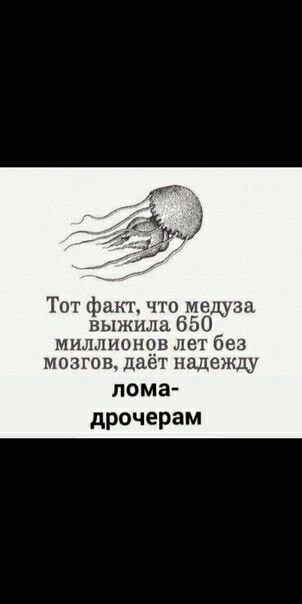Создать мем: тот факт что медуза дает надежду многим людям, тот факт что медуза выжила 650 миллионов лет без мозгов, медуза выжила 650 миллионов лет без мозгов
