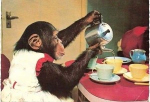 Создать мем: веселая обезьяна, шимпанзе с телефоном, смешная обезьяна пьет чай