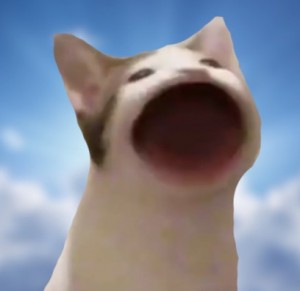 Создать мем: pop cat, кот широко открывает рот мем, лицо