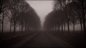 Create meme: foggy, road, road trees