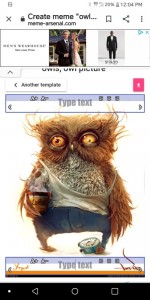 Create meme: drunk owl, owl owl, sleepy owl
