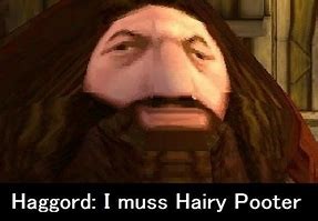 Create meme: Hagrid ps1 MEM, Harry Potter ps1 Hagrid, Hagrid meme