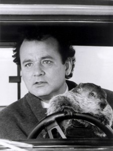 Create meme: Groundhog day, bill Murray Groundhog day