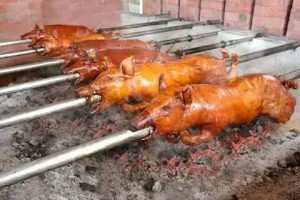 Create meme: a pig on a spit