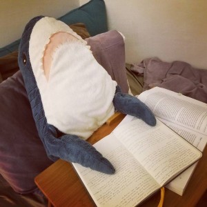 Create meme: plush shark from IKEA