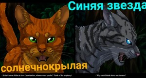 Создать мем: коты воители виалир, коты воители ежевика и коршун, картинки коты воители ежевика и коршун
