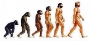 Создать мем: процесс эволюции человека, теория эволюции человека, этапы эволюции человека