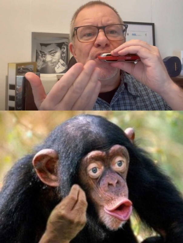 Create meme: lip chimpanzee, chimpanzee, male chimpanzees