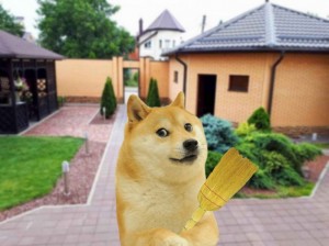 Создать мем: dogecoin shiba inu, mine doge, сиба-ину doge