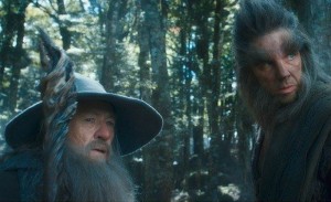 Create meme: the Lord of the rings Gandalf actor, the hobbit Gandalf actor, Gandalf the hobbit GIF