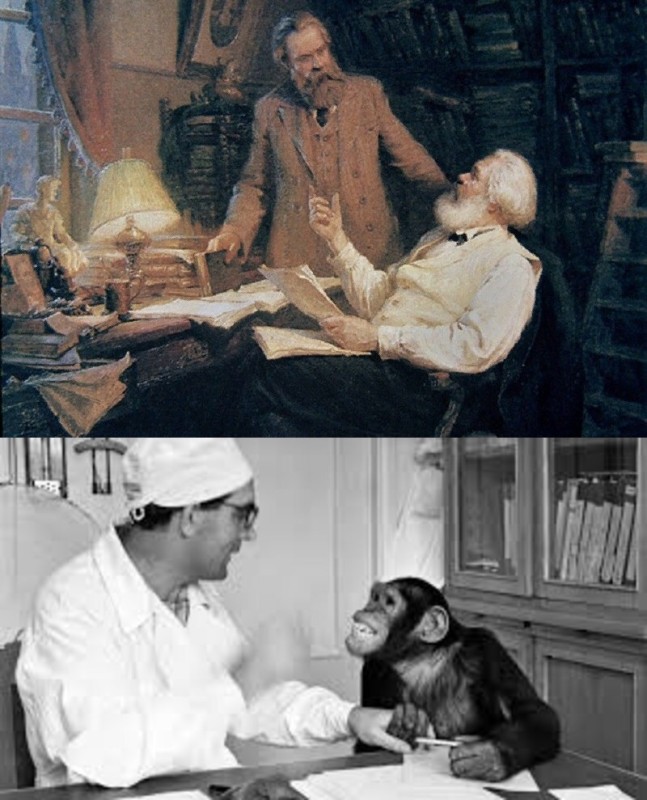 Создать мем: эксперименты по скрещиванию человека и обезьяны в ссср, карл маркс, шимпанзе оливер