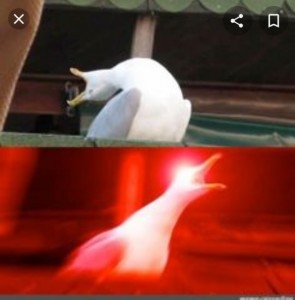 Создать мем: мем с чайкой глубокий, орущая чайка мем, мем с чайкой глубокий вдох