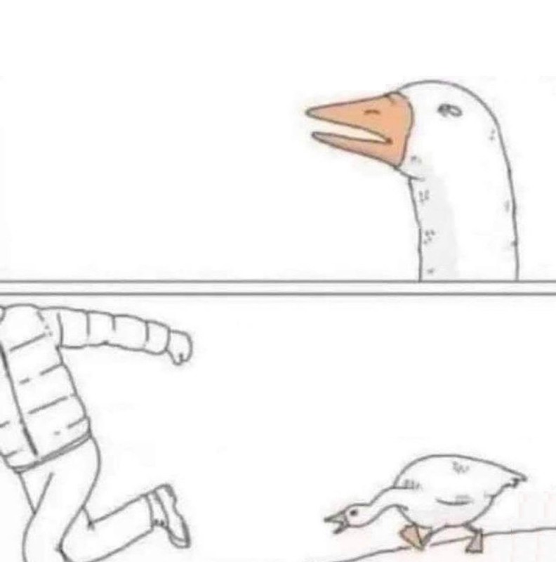 Create meme: goose , goose with a knife meme, meme about goose and down jacket