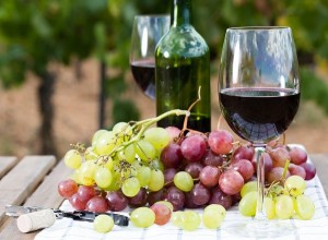 Create meme: vineyard, grapes, wine