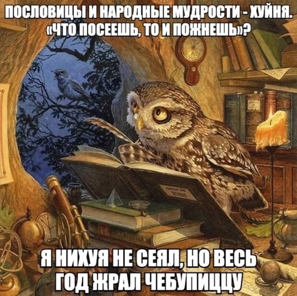 Create meme: Illustrator Chris Dunn, wise owl, Chris Dunn illustrations