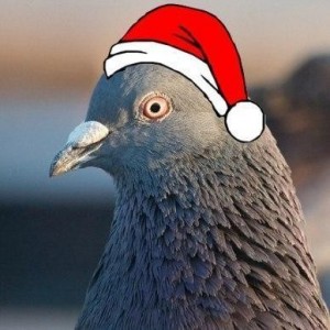Create meme: urban dove, dove common, dove