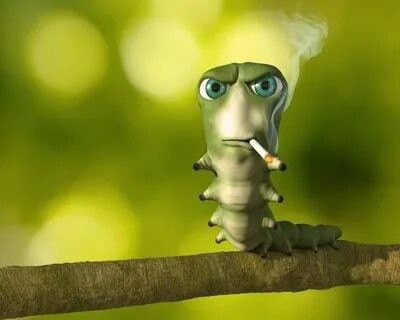 Create meme: a worm with a cigarette, caterpillar joke, caterpillar meme