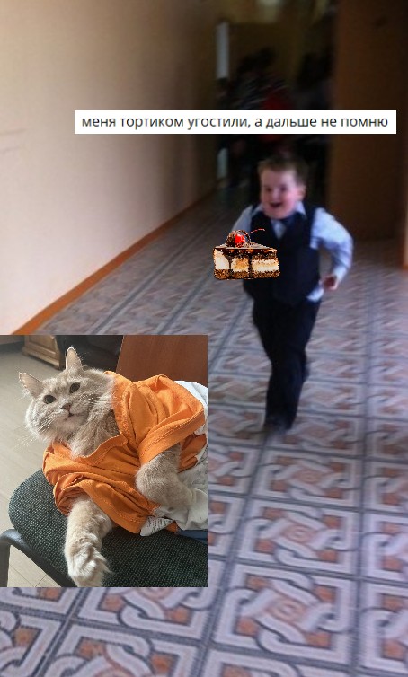 Create meme: fat kid running meme , happy birthday meme , cat 