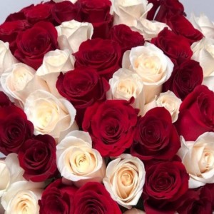Создать мем: букет из 51 розы, розы красивый букет, красивый букет белых и красных роз
