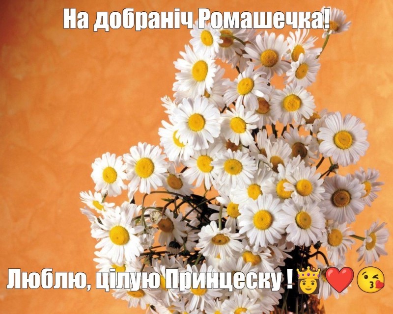 Create meme: beautiful flowers , card a bouquet of daisies, Daisy 