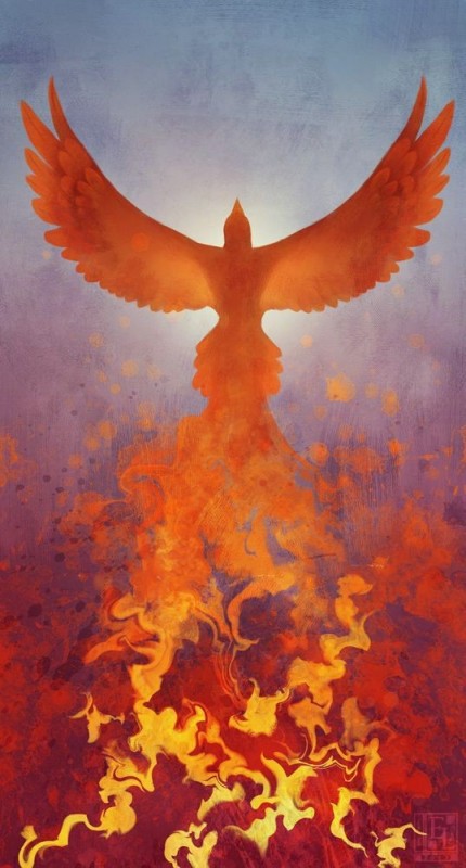 Create meme: Phoenix , phoenix painting, a Phoenix from the ashes