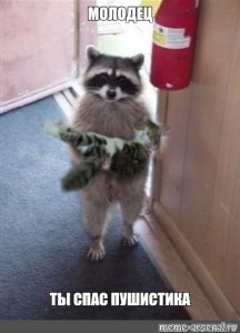 Create meme: raccoons, raccoon gargle