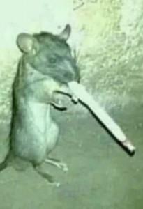 Create meme: mouse with a cigarette, a rat with a cigarette