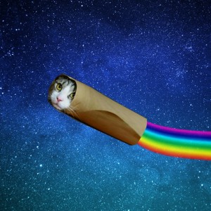 Create meme: cat rainbow space, art