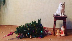 Создать мем: кот и елка приколы, кот роняет елку, новогодняя ёлка